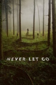 Watch Never Let Go Full Movie Online